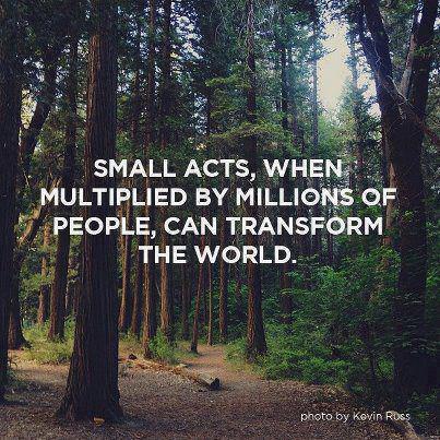 Small Acts, when multiplied by millions of people, can transform the world."