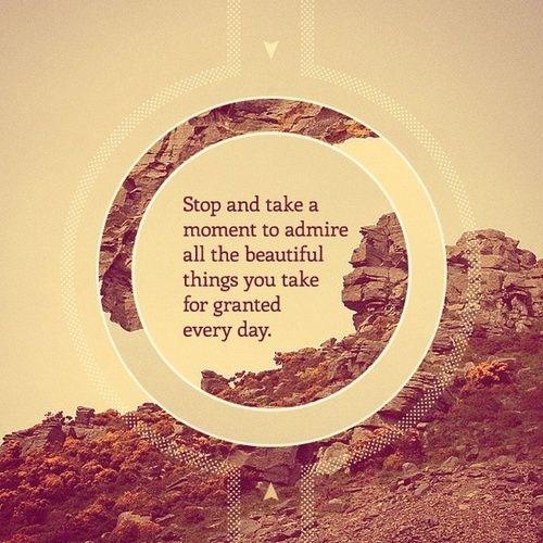 Stop and take a moment to admire all the beautiful things you take for granted every day.