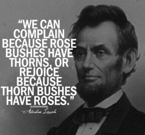 "We can complain because rose bushes have thorns, or rejoice because thorn bushes have roses." ~ Abraham Lincoln