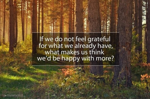 If we do not feel grateful for what we already have, what makes us think we'd be happy with more?