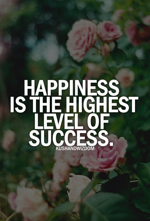 Happiness is the highest level of success.