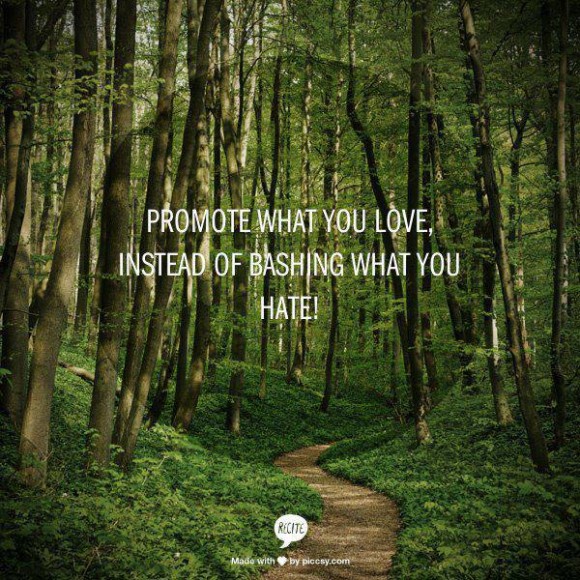 Promote what you love instead of bashing what you hate.