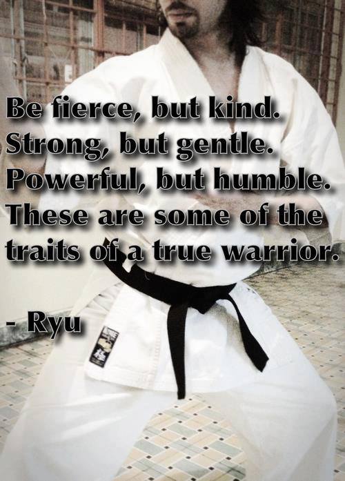 "Be fierce, but kind.  Strong, but gentle.  Powerful, but humble.  These are some of the traits of a true warrior." ~ Ryu