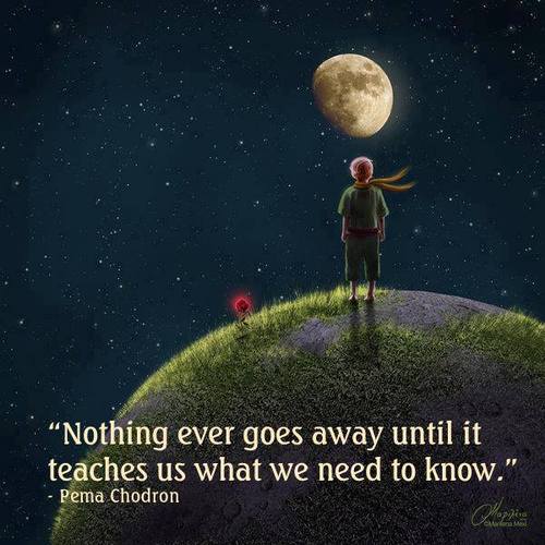 "Nothing ever goes away until it teaches us what we need to know." ~ Pema Chodron