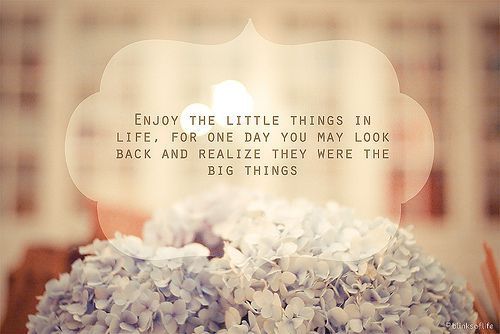 Enjoy the little things in life, for one day you may look back and realize they were the big things.