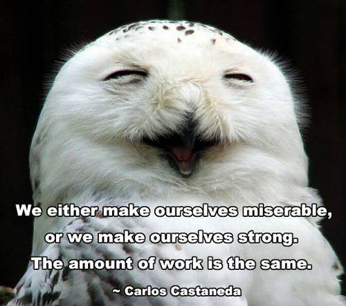 We either make ourselves miserable, or we make ourselves strong. The amount of work is the same.