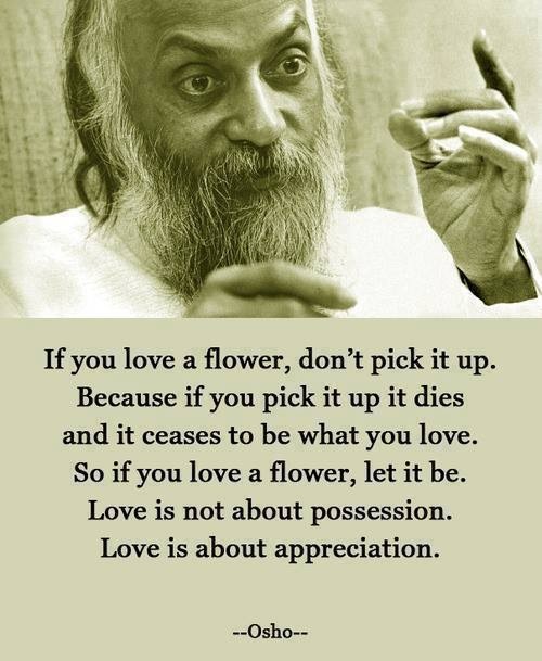 If you love a flower, don't pick it up. Because if you pick it up it dies and it ceases to be what you love. So if you love a flower, let it be. Love is not about possessions. Love is about appreciation.