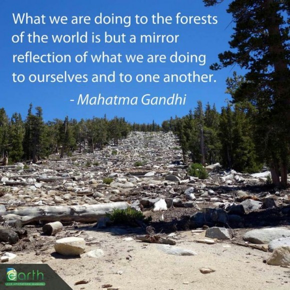 "What we are doing to the forests of the world is but a mirror reflection of what we are doing to ourselves and to one another." ~ Mahatma Gandhi