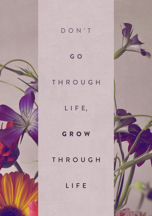 Don't go through life, grow through life.