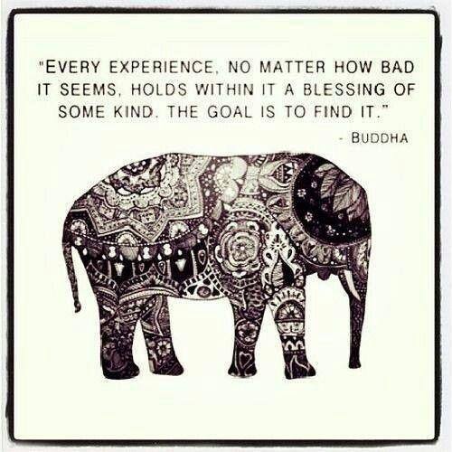 Every experience, no matter how sad it seems, holds within it a blessing of some kind. The goal is to find it. ~ Buddha