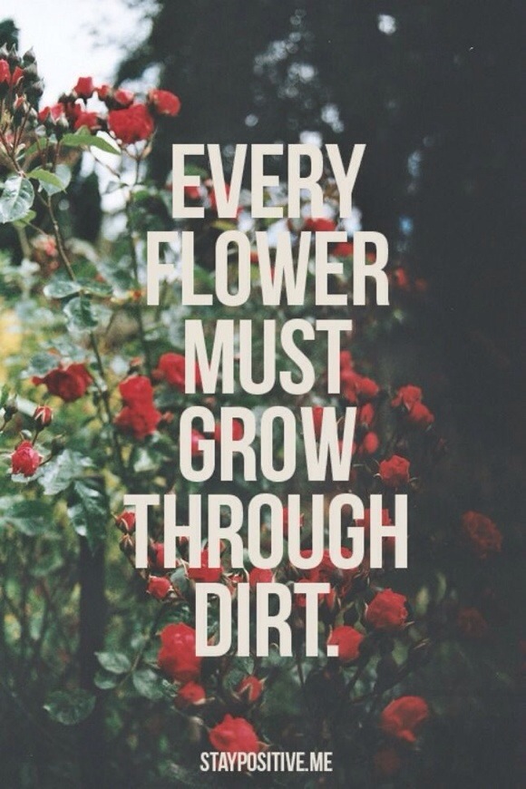 Every flower must grow through dirt.