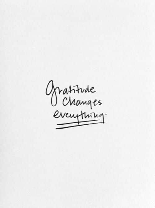 Gratitude changes everything.