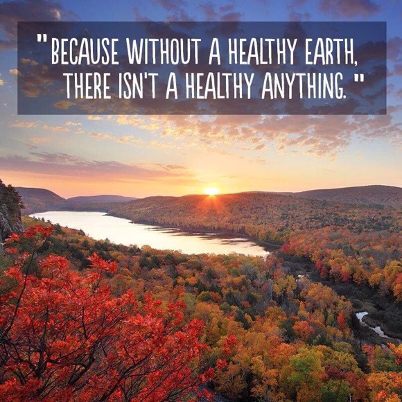 Because without a healthy earth there isn't a healthy anything.