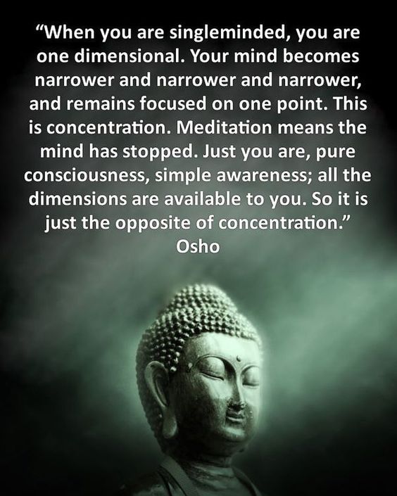 Concentration vs Meditation