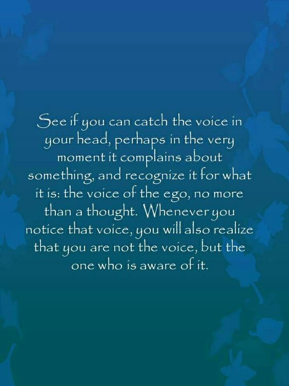 Step 1 is to become conscious of Ego's voice within you.