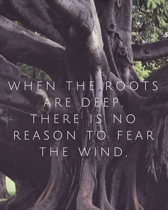 How do you deepen your roots?