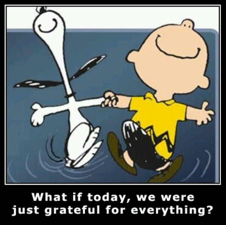 What if today, we were just grateful for everything?