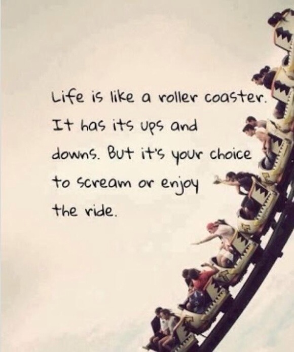 ...And you only get to ride this roller coaster once! · MoveMe Quotes