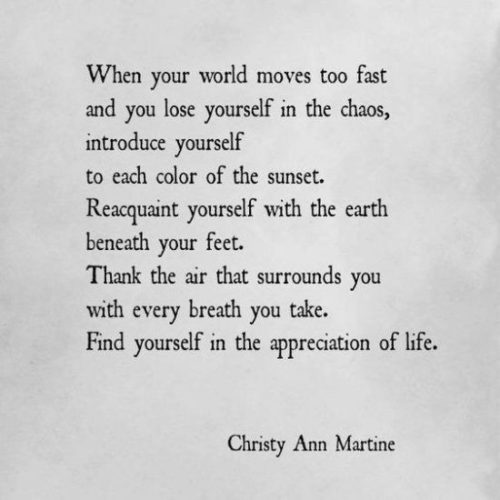 When you lose yourself in chaos, find yourself in the appreciation of life.