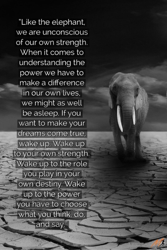 WAKE UP!!