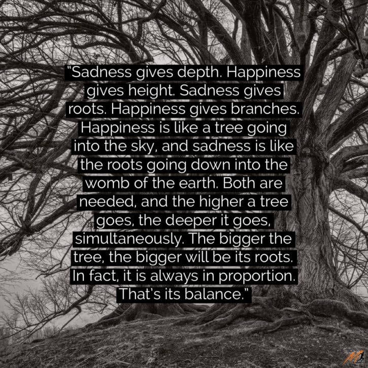 Happiness is great, yes. But life shouldn’t be lived in absence of sadness.