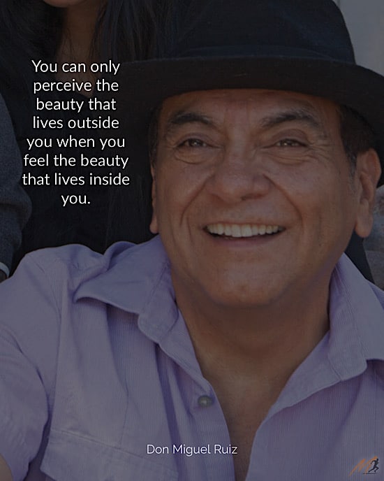 the mystery of love by don miguel ruiz