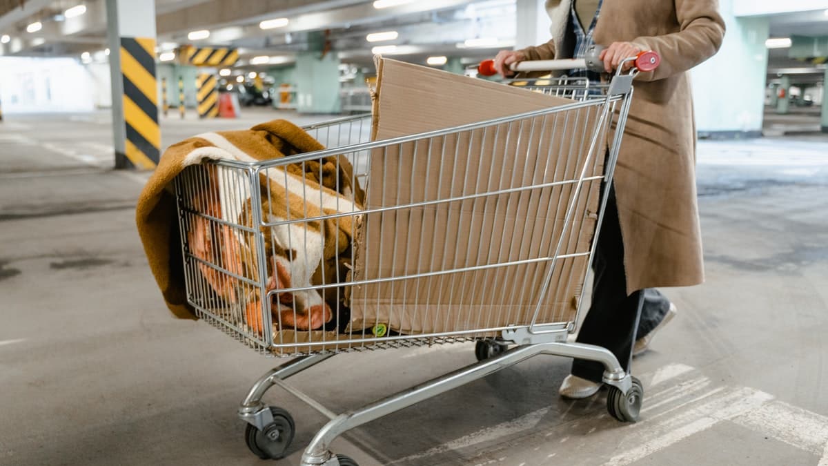 Glenn Danzig Quote On Shopping Carts And How They Are The Ultimate