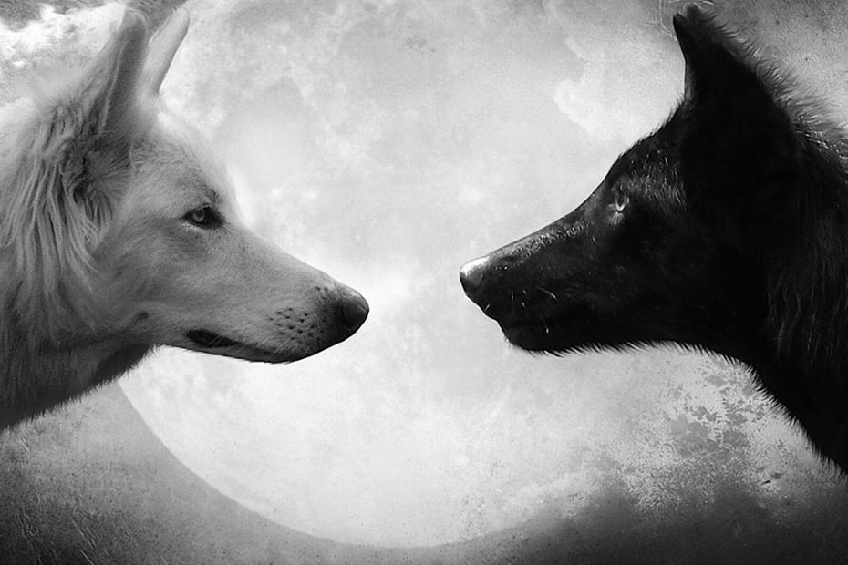 The Story of Two Wolves: A Tale About Handling Inner Conflict Mindfully