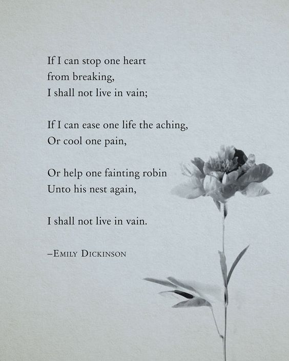 I shall not live in vain.