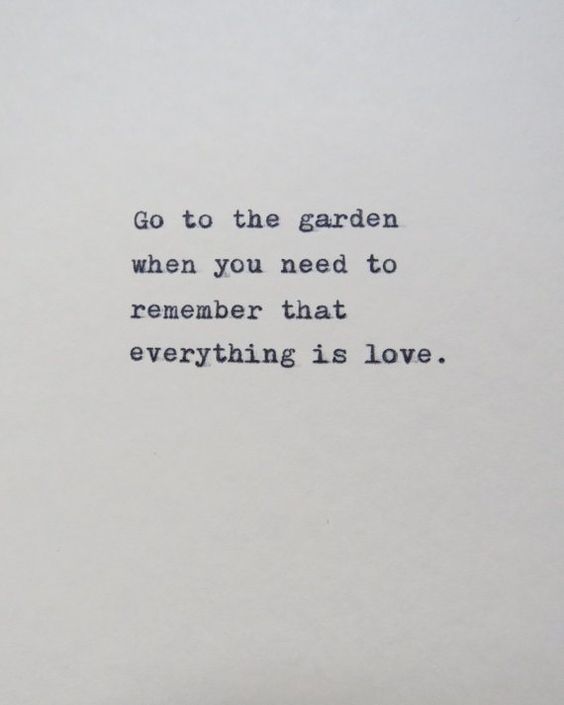 Go to the garden.