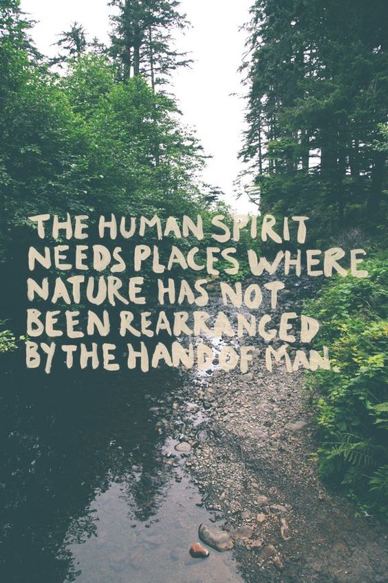 Go where the un-rearranged nature is.